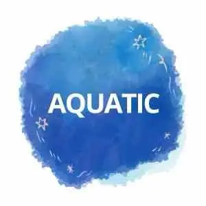 Aquatic Notes