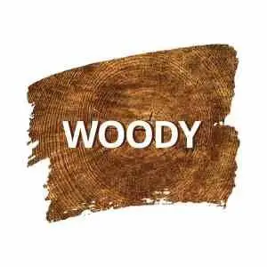 Woody Oud Notes