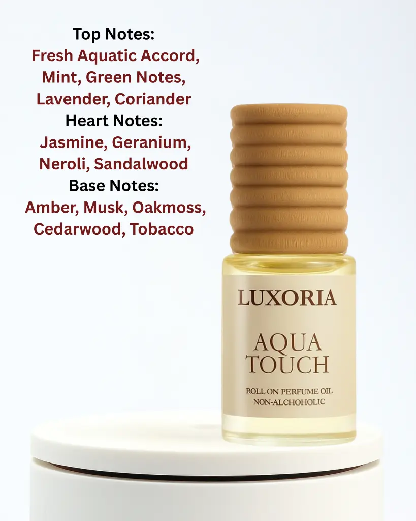 Untitled design (11).webp