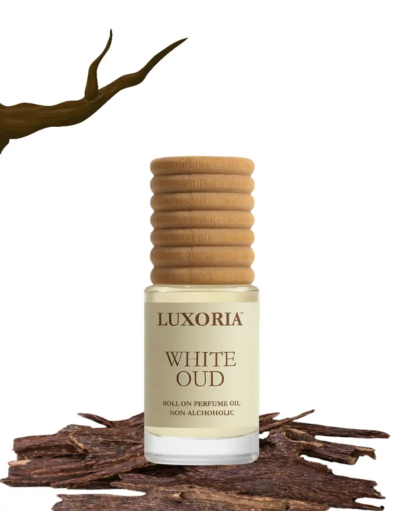 WhatsApp Image 2025-09-12 at 20.02.20.webp