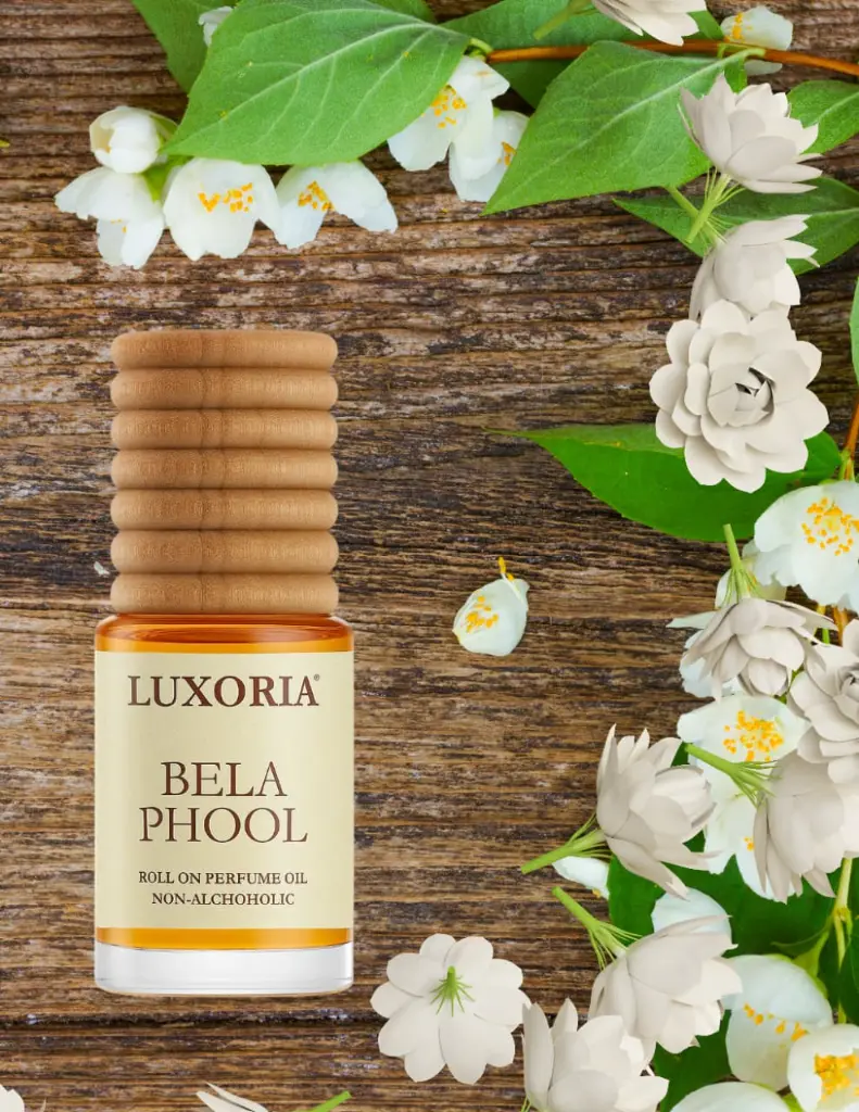 WhatsApp Image 2025-09-12 at 20.02.19.webp